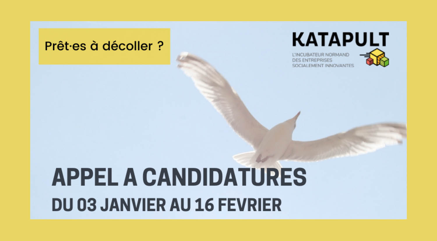 Incubateur Katapult : Appel à candidatures 2022