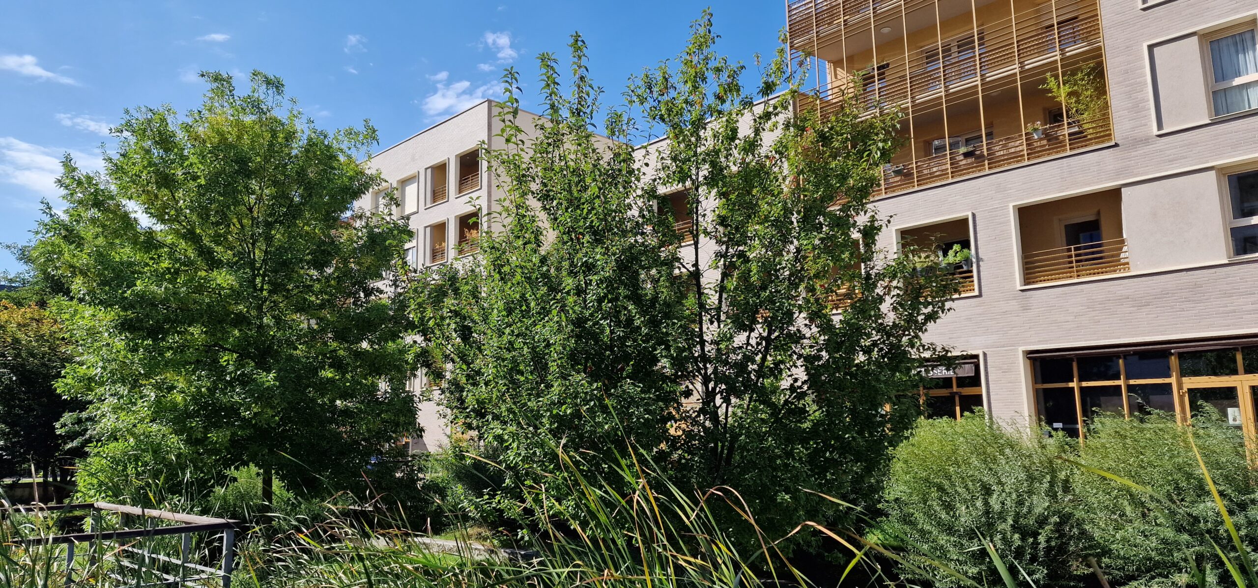 Les bureaux sont situés au coeur de l'Ecoquartier Rouen la Luciline ©RNI