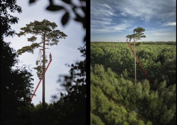 ©A ladder to Heaven
Bayona studio
| Xevi Bayona et Cristina Montero / architectes | Espagne