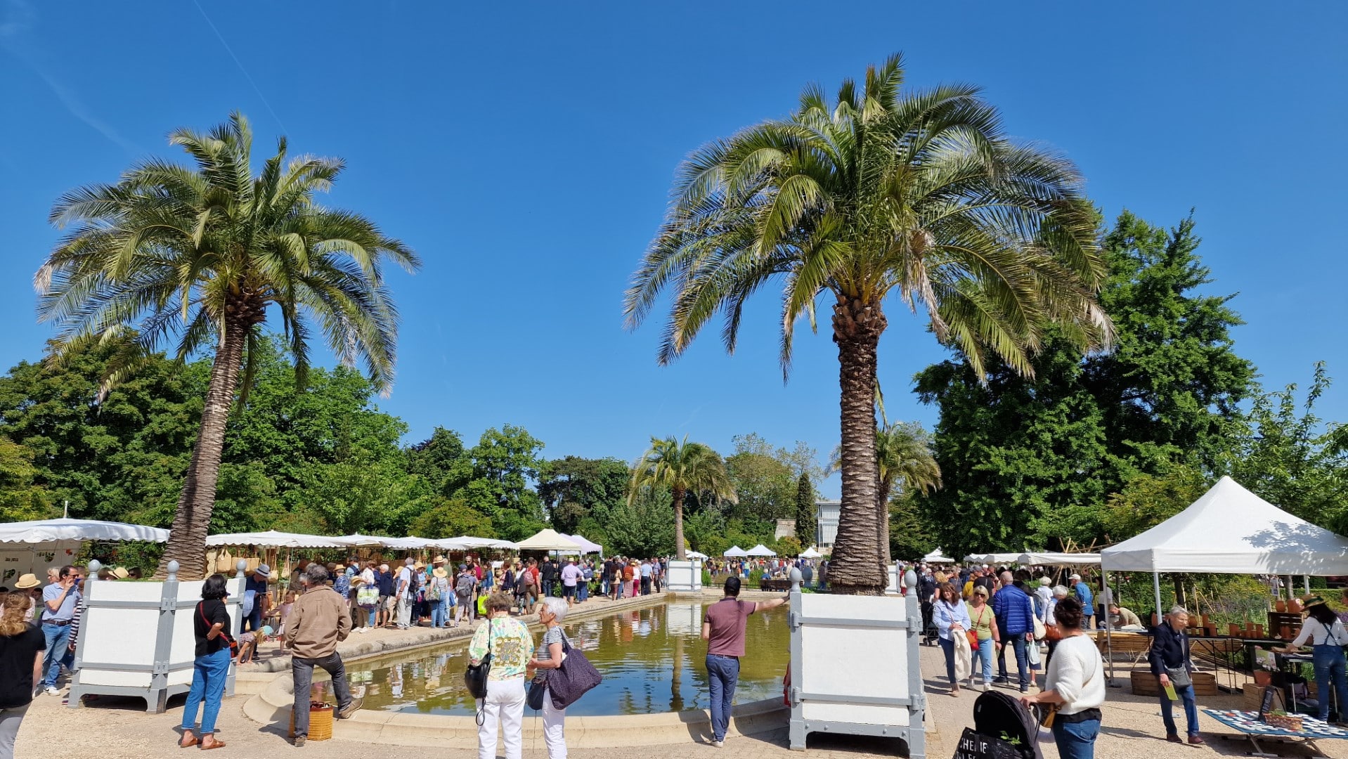 La plus grande fête de France gratuite dédiée au jardinage se tient à Rouen ce week-end