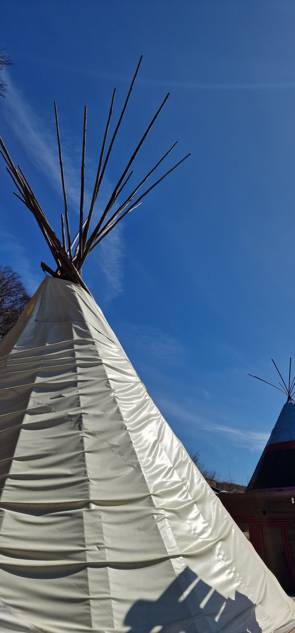 Le Parc Canadien près de Rouen ©RNI