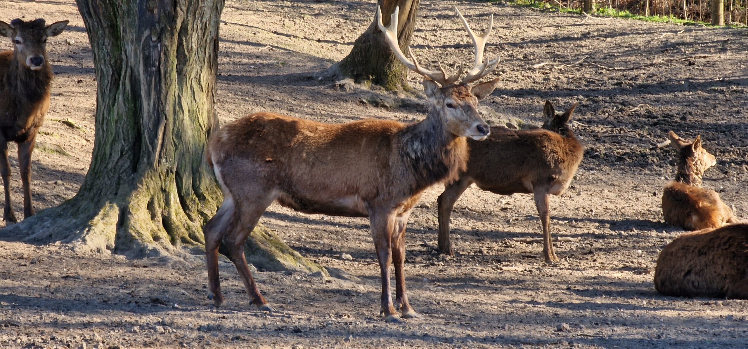 Le Parc Canadien près de Rouen ©RNI