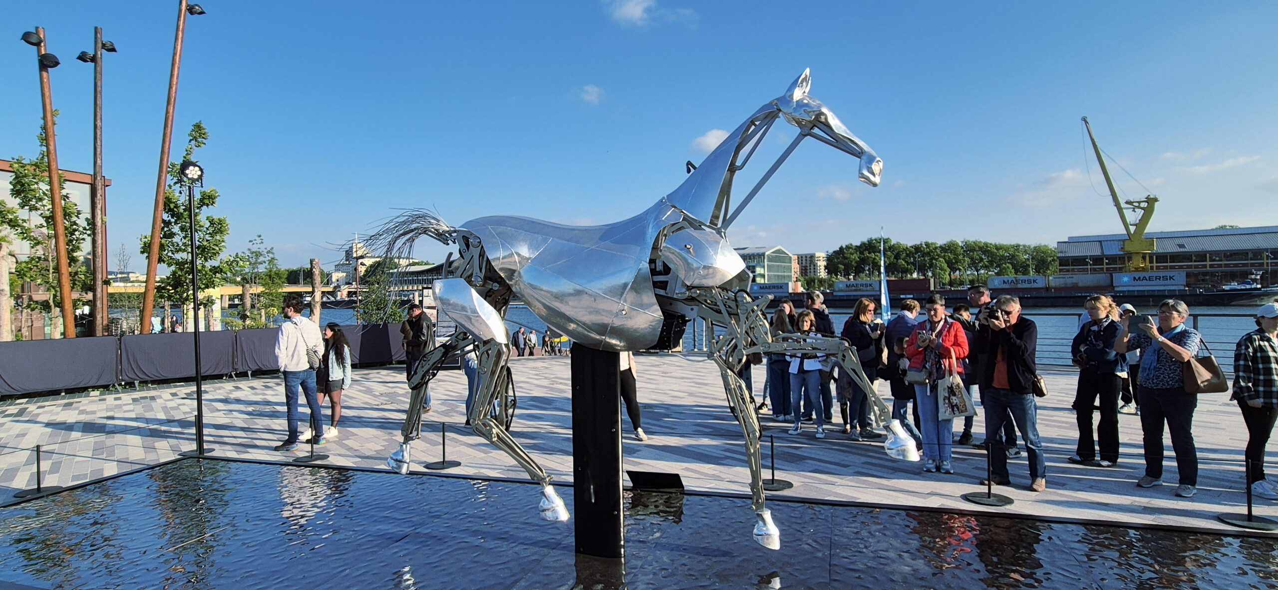 Zeus, le célèbre cheval des JO de Paris de 2024 est visible à Rouen jusqu'à ce vendredi. Crédit : RNI