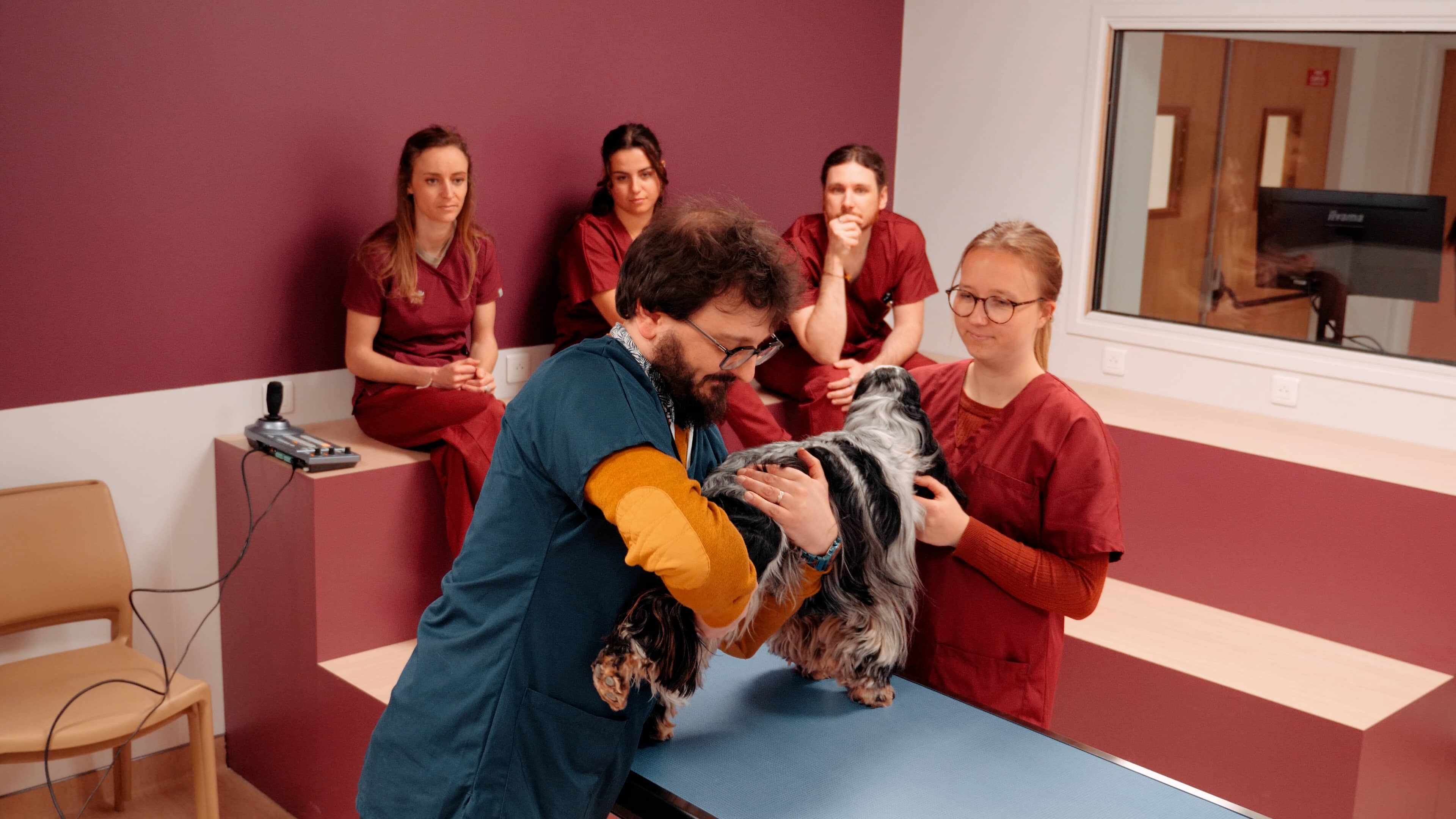 A Rouen, UniLaSalle inaugure Indivisa, le Centre hospitalier de son École vétérinaire ©Indivisa, Centre Hospitalier de l'École Vétérinaire UniLaSalle