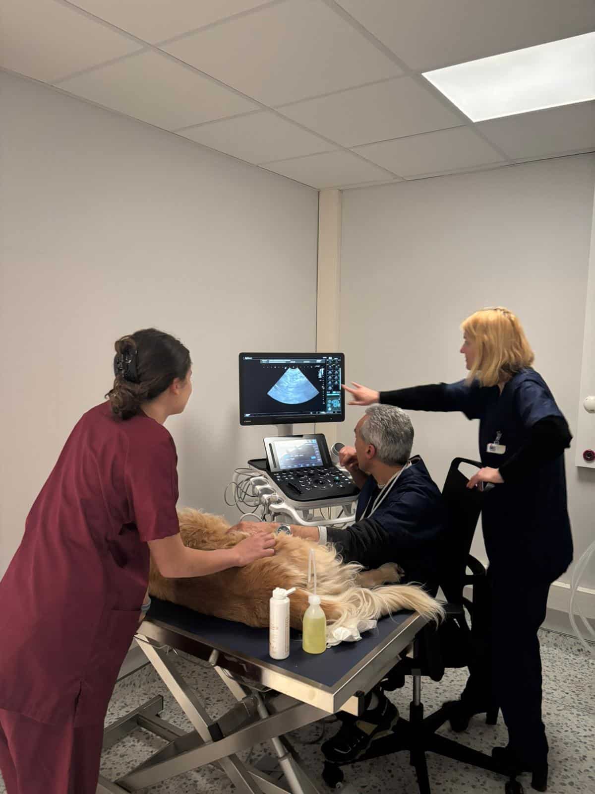 A Rouen, UniLaSalle inaugure Indivisa, le Centre hospitalier de son École vétérinaire ©Indivisa, Centre Hospitalier de l'École Vétérinaire UniLaSalle