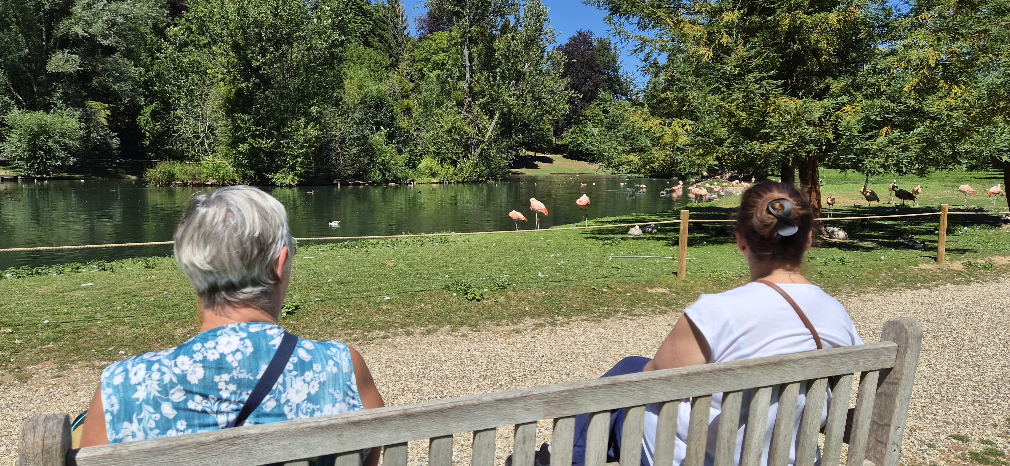 Lucie et Eva, se sont assises sur un banc face aux flamants roses du Chili. ©RNI