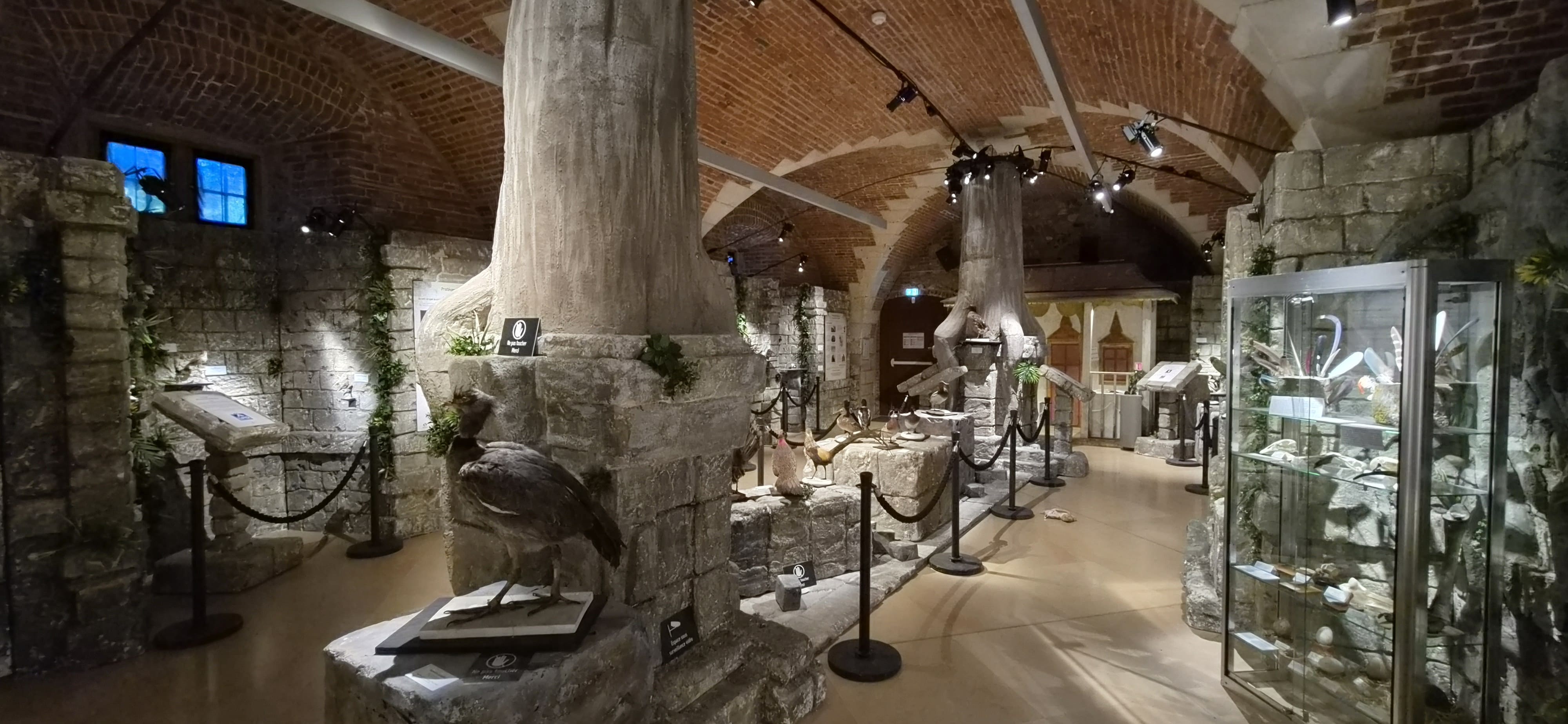 Dans le château Renaissance, au parc de Clères près de Rouen, des expositions permanentes et temporaires permettent  aux visiteurs de se projeter dans l'histoire du lieu. ©RNI