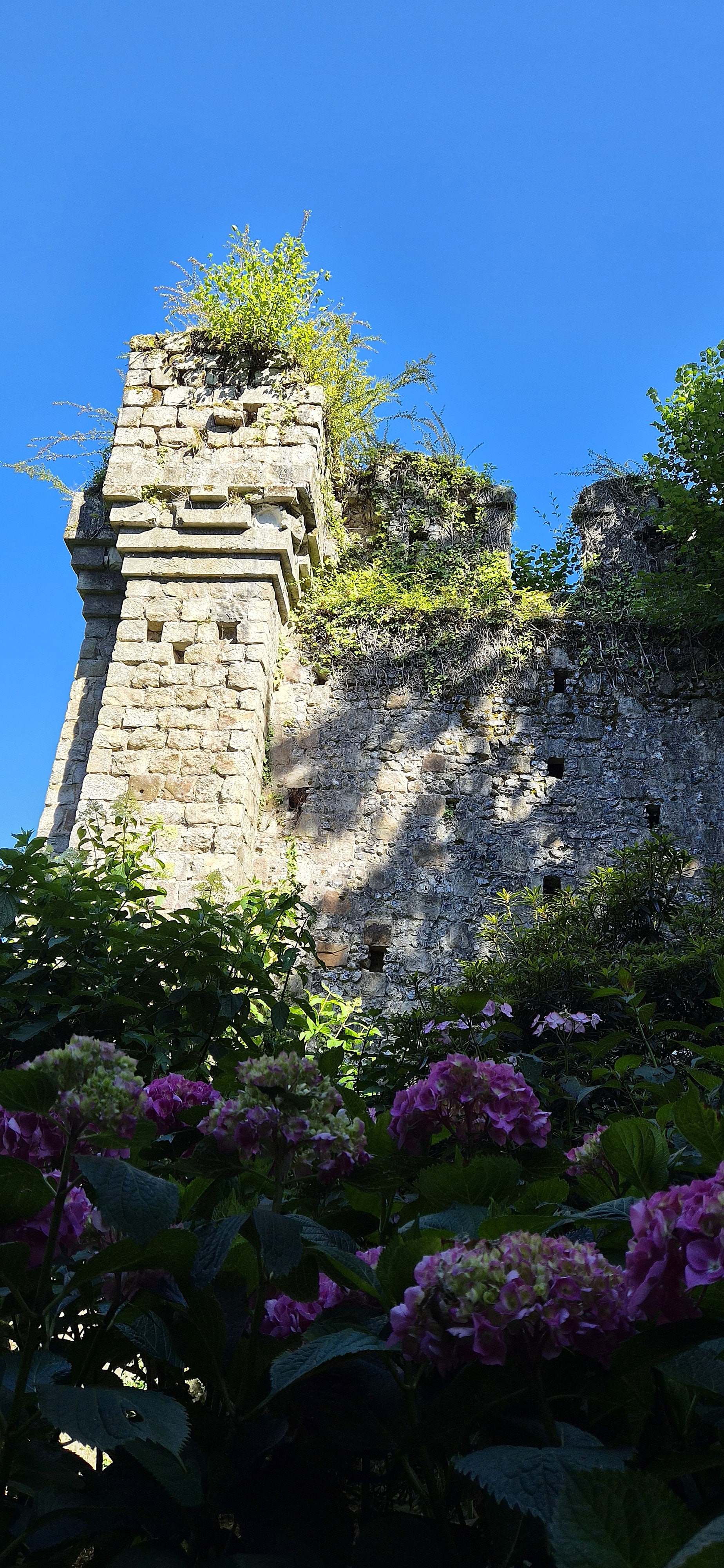 Les ruines de l'ancien château médiéval au parc de Clères près de Rouen. ©RNI