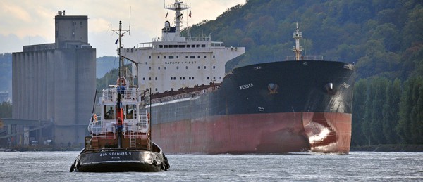 The Port of Rouen, top ranking North European grain port - Photo : Patrice Le Bris