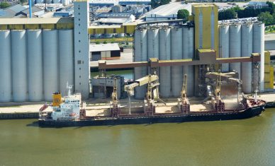 Port de Rouen : belle reprise pour la campagne céréalière