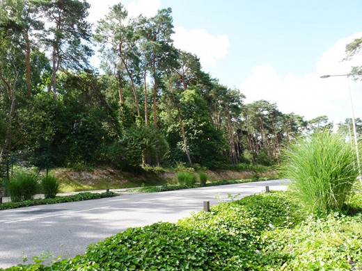 Verdure-Technopole-Madrillet