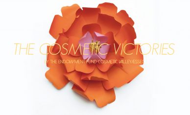 Candidatez aux Cosmetic Victories !
