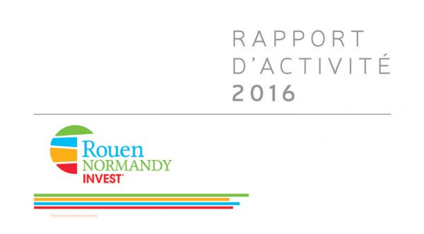Rapport Activité RNI 2016